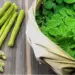 Moringa Leaf Benefits