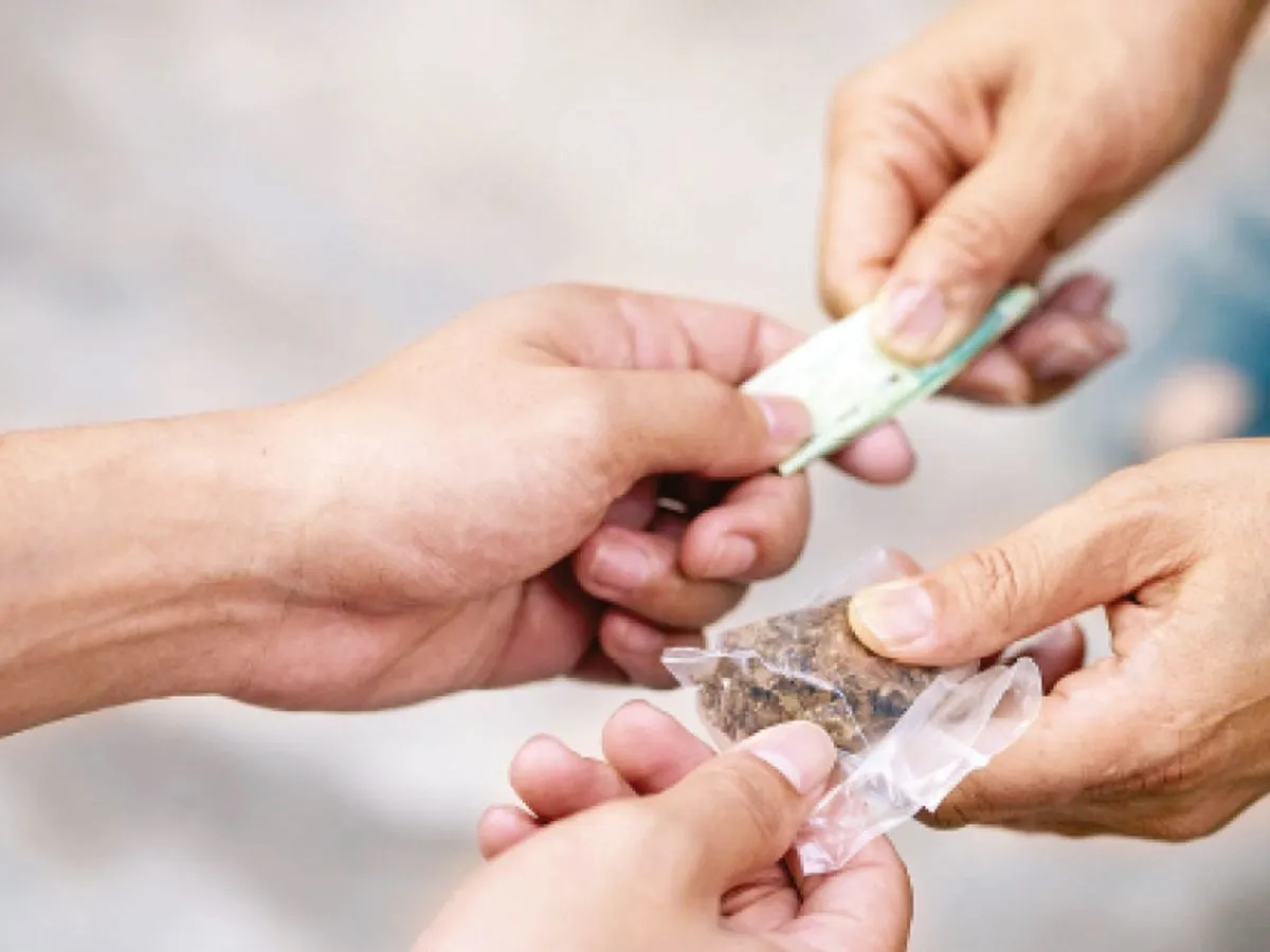 Raipur Pakistan Drug Connection