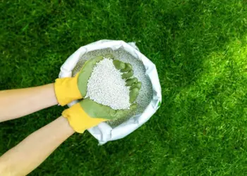 CG Fertilizer Crisis News