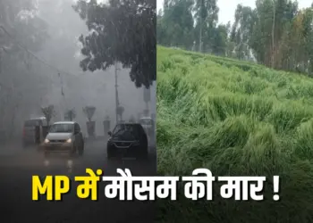 MP Weather UPDATE baarish olavrishti se fasle barbad next two days IMD Alert