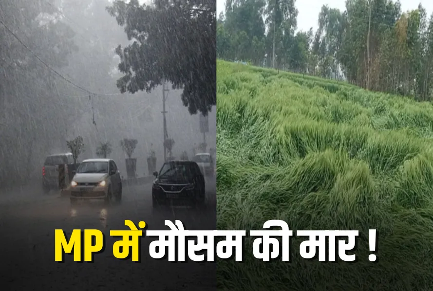 MP Weather UPDATE baarish olavrishti se fasle barbad next two days IMD Alert