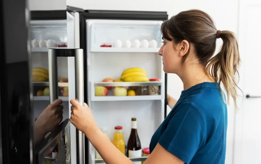 Monsoon Fridge Care Tips