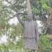 Ajit Jogi Statue Controversy