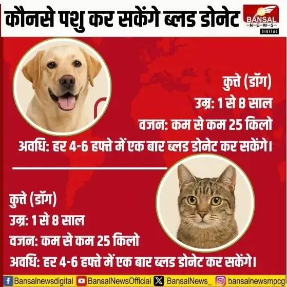 Animal Blood Bank Bhopal