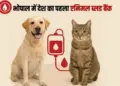 Animal Blood Bank Bhopal