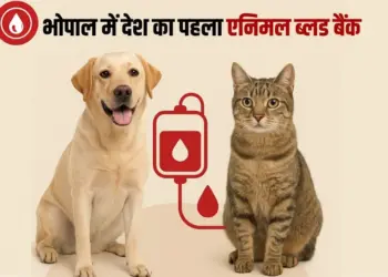 Animal Blood Bank Bhopal