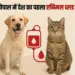 Animal Blood Bank Bhopal