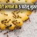 Ants Repellent Hacks