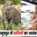 Anuppur Elephant Attack