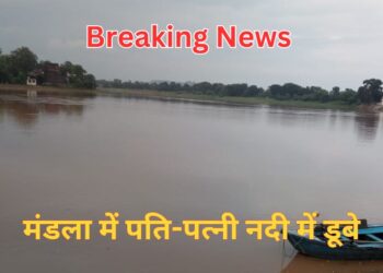 Mp News