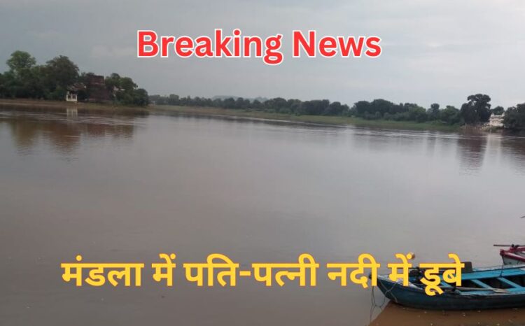 Mp News