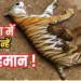 Panna Tiger Reserve