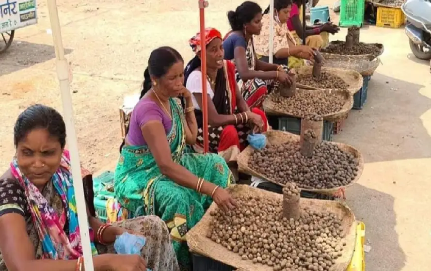 Bastar Boda Sabji