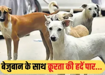 सांकेतिक फोटो।