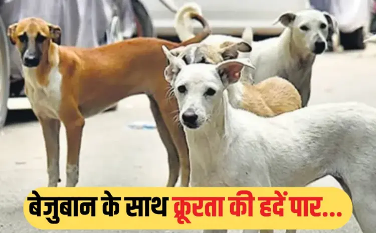 सांकेतिक फोटो।