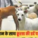 सांकेतिक फोटो।