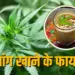 Bhang Khane Ke Fayde Health Benefits