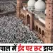 Bhopal Eid Route Divert