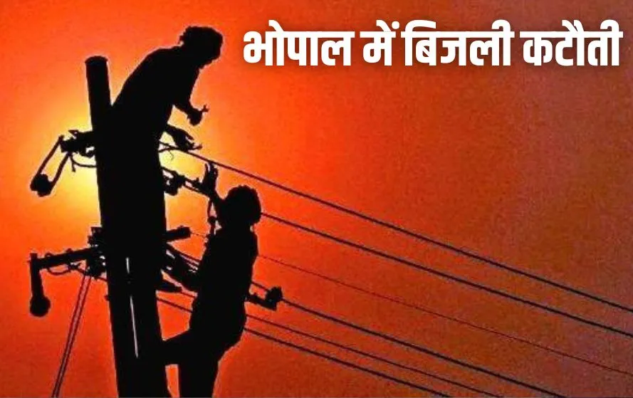Bhopal Electricity Maintenance