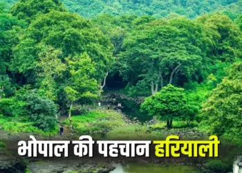 Bhopal Green City