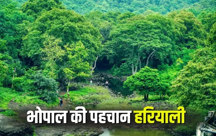 Bhopal Green City