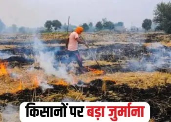 Bhopal Kisan News
