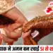 Bhopal Love Jihad Case Update