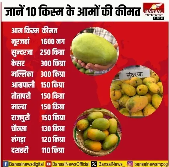 Bhopal Mango Festival