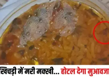 Bhopal Swiggy Controversy
