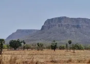 Bijapur Naxal Encounter