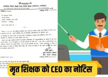 MP News