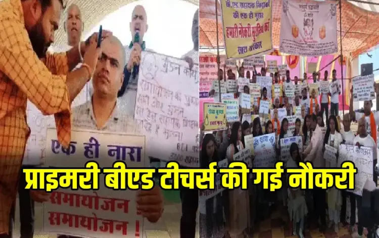 CG B.Ed Teachers Terminated