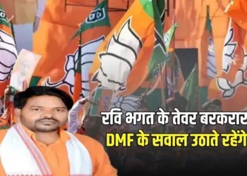 CG BJP Politics