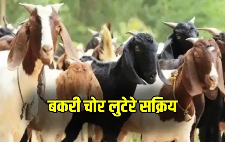 CG Bakri