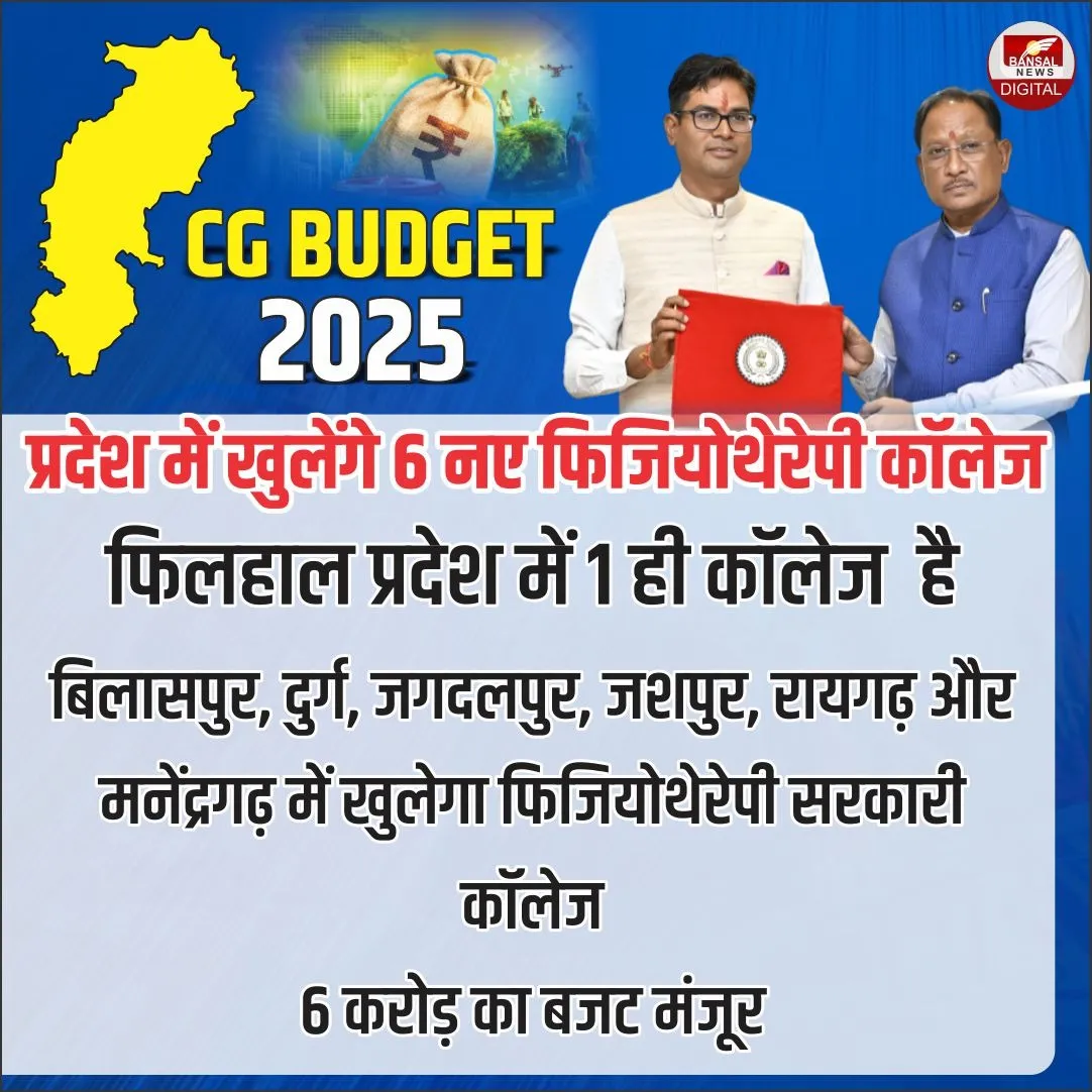 Finance Minister OP Choudhary Live/ CG Budget 2025 