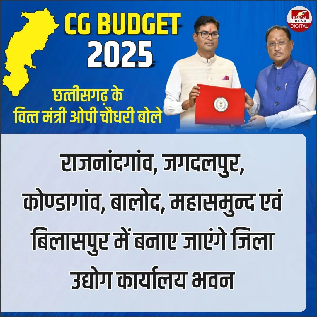 CG Budget 2025