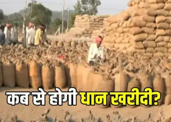 CG Dhan Kharidi 2024
