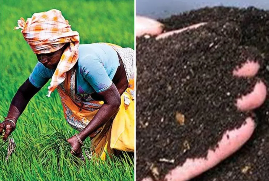CG Fertilizer Crisis News