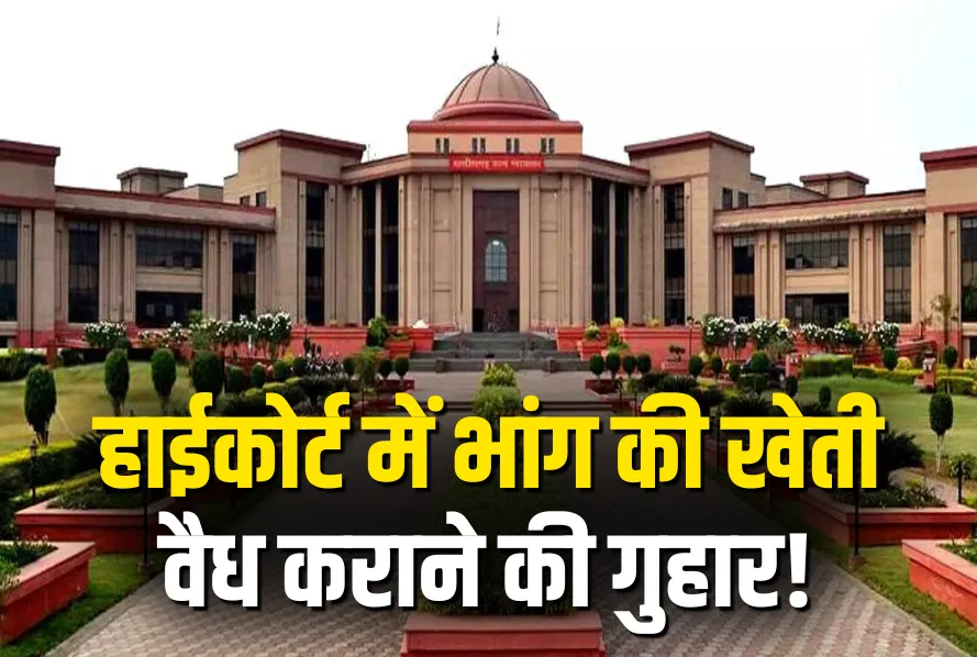 CG High Court