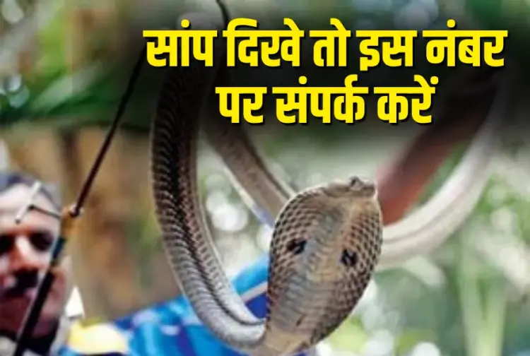 CG Mungeli Snake Rescue Campaign Helpline Number