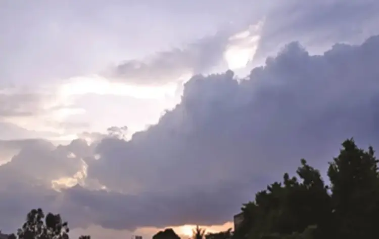 CG Weather Forcast