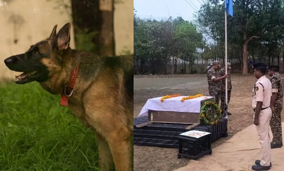 CRPF Dog Rolo