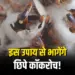 Cheap Cockroach Killer Home Remedy, Ghar me Cockroach Bhagane ke Upay