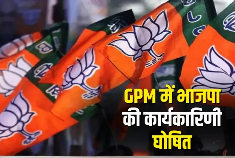 Chhattisgarh BJP District Executive List