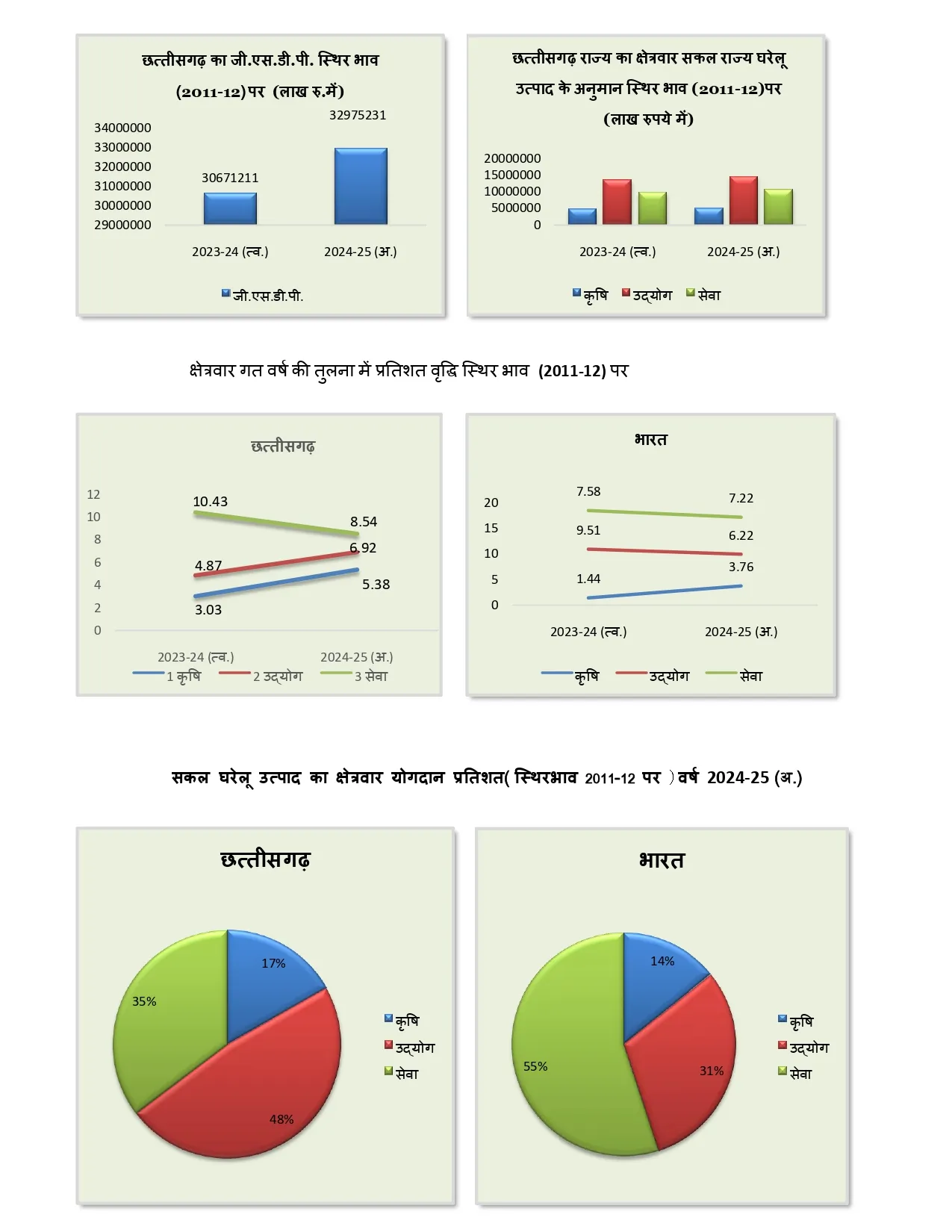 Chhattisgarh Budget Economic Survey
