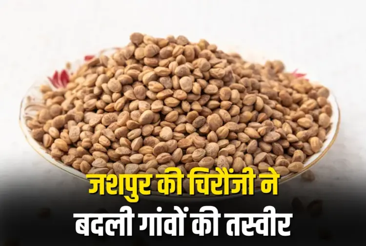 Chhattisgarh Chironji