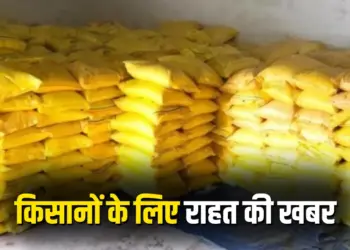 Chhattisgarh Nano DAP Fertilizer Storage