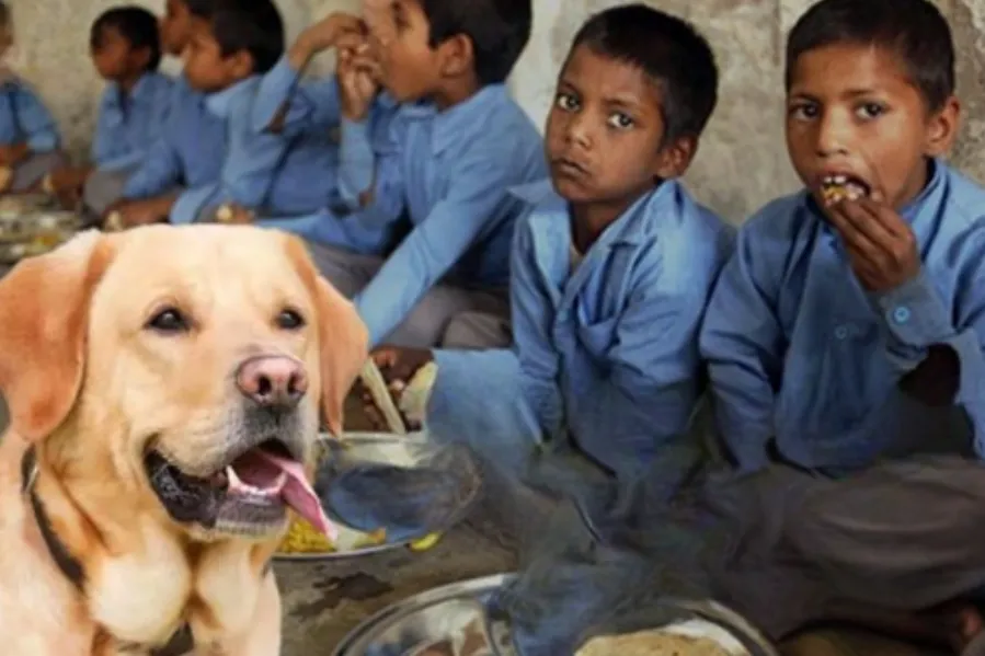 Chhattisgarh Mid Day Meal Issue School News 
