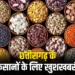Chhattisgarh Seed Production Subsidy, CG Tilhan Beej Anudan