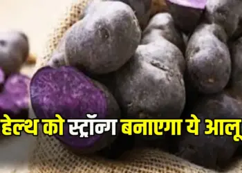 Chhattisgarh News